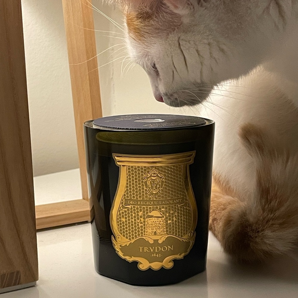 Trudon Candle - Gabriel